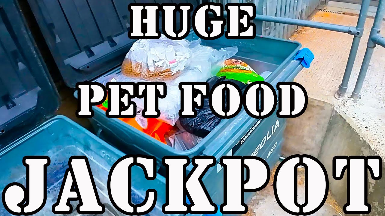 DUMPSTER DIVING UK 🤯 HUGE PET FOOD JACKPOT🤯