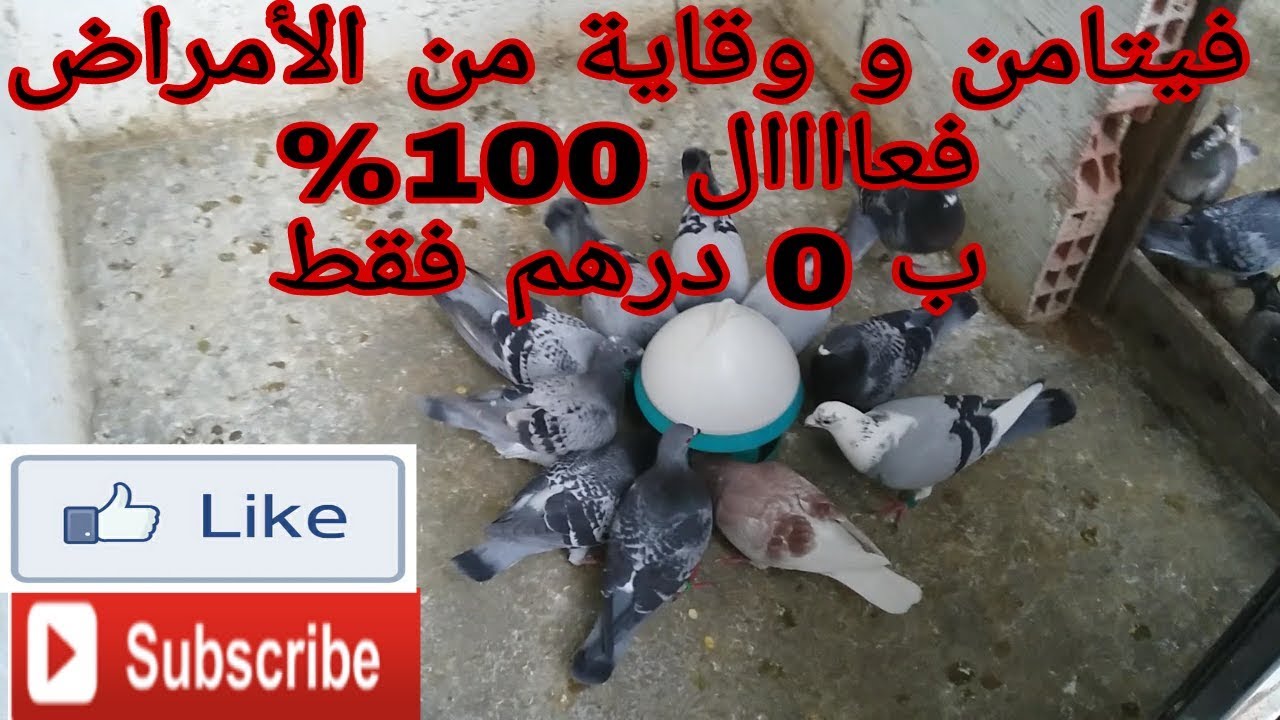 فيتامين طبيعي للحمام و فعال 100%