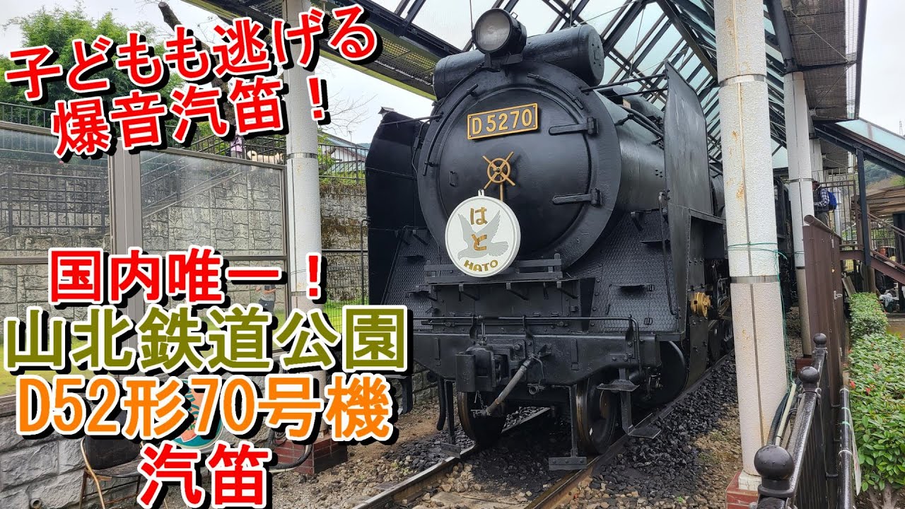 【子どもも逃げ出す爆音汽笛！】D52形70号機汽笛28連発(山北鉄道公園)