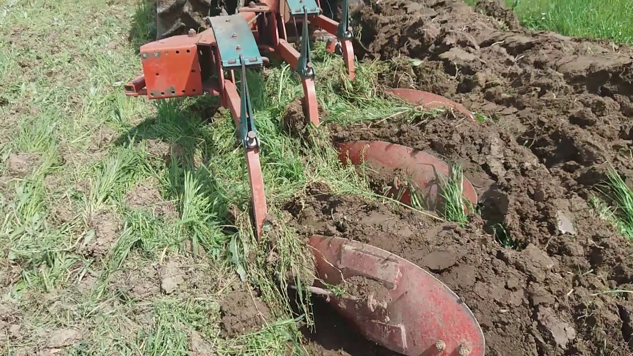 Lamborghini R2 86 oranje