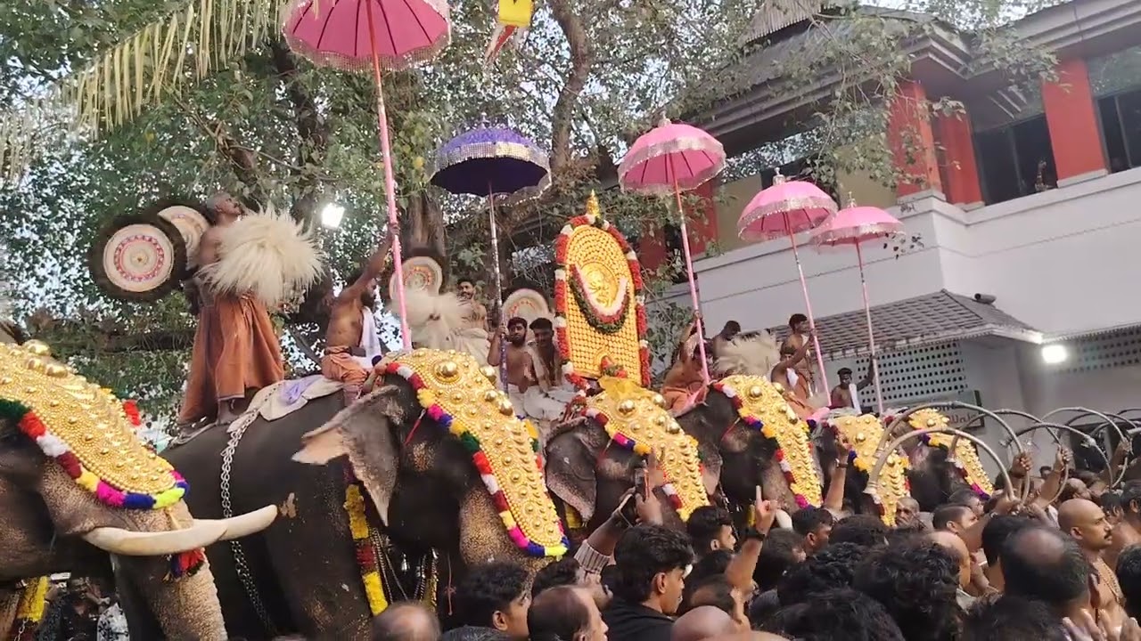 തിരൂർ പൂരം 2026