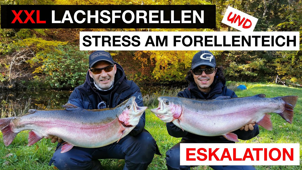STRESS am Forellenteich | UNGLAUBLICH was hier abgeht 😱 XXL Forellen und viel mehr