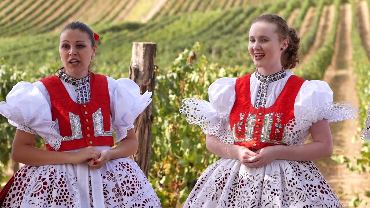 VONIČKA V-BAND - Směs