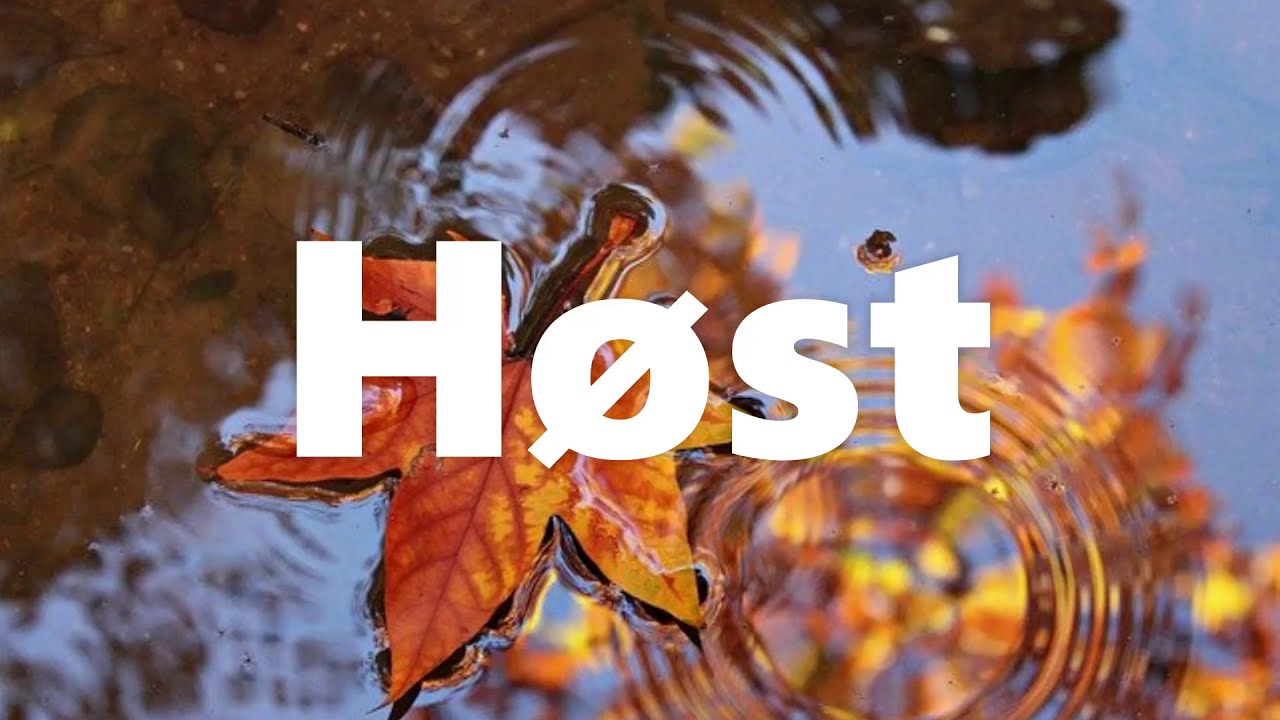 &Aring;rstid meditasjon  - h&oslash;st
