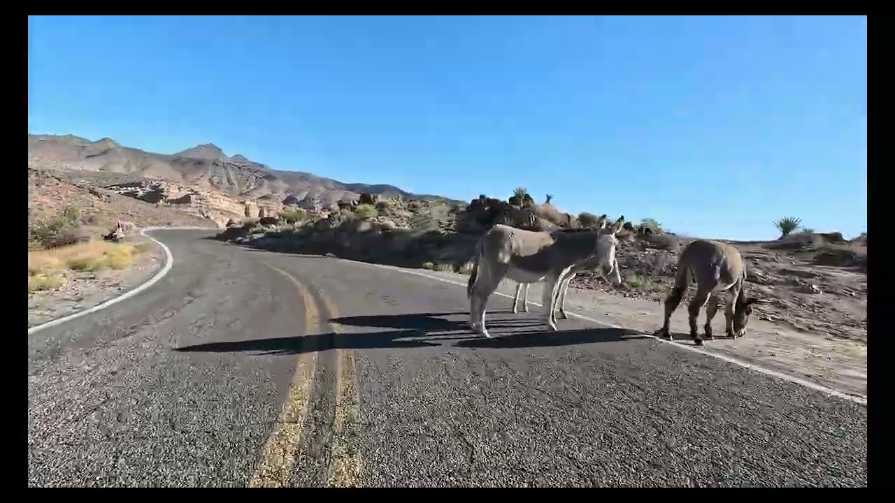 RT66 Oatman, AZ to Cool Springs, AZ