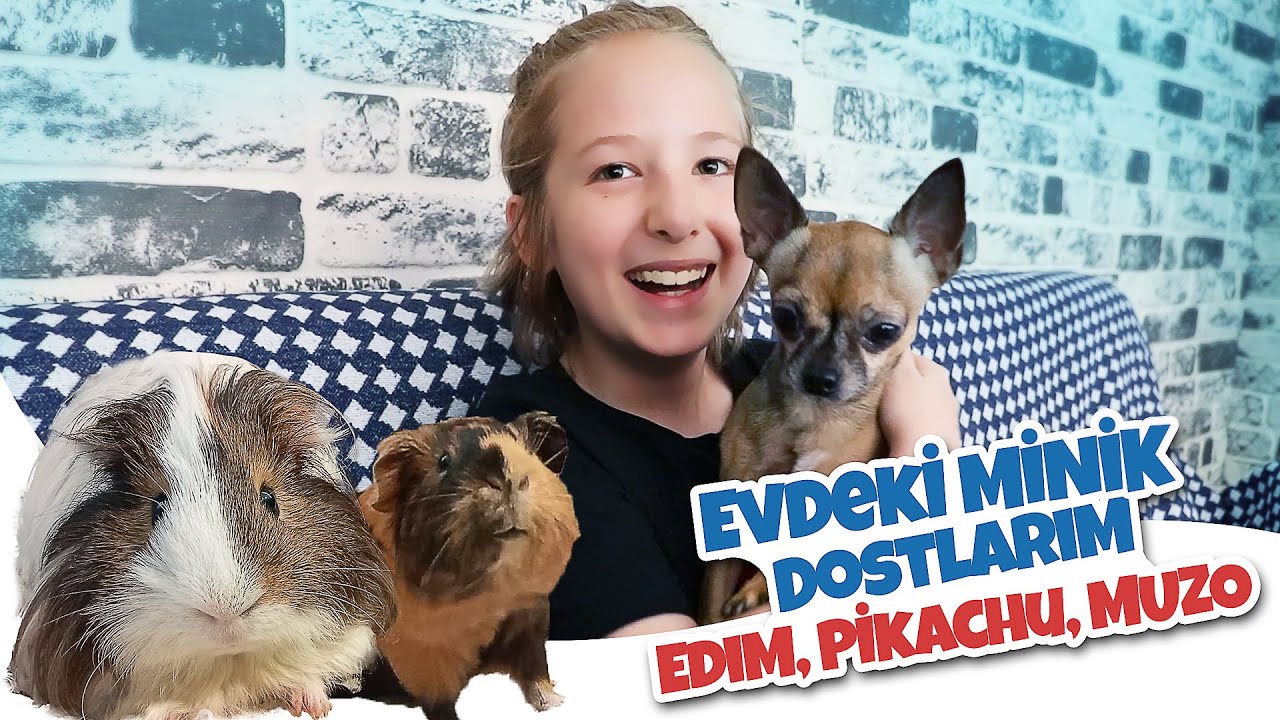 EVDEKİ KÜÇÜK DOSTLARIM