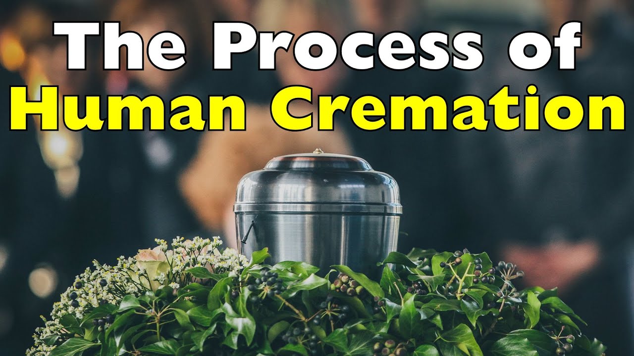A Scientific Breakdown: What Happens Inside the Cremation Chamber