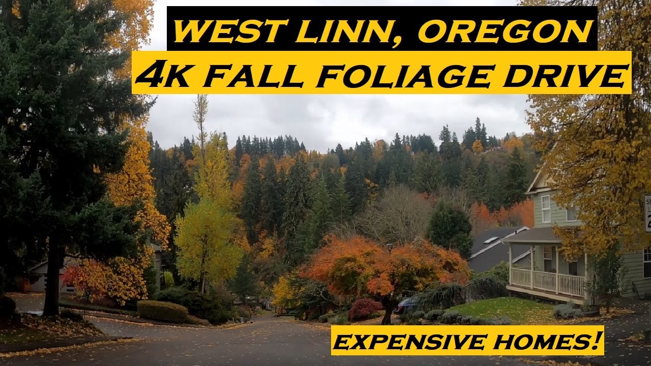 West Linn, Oregon | 4k Fall Foliage Drive | Expensive Homes!
