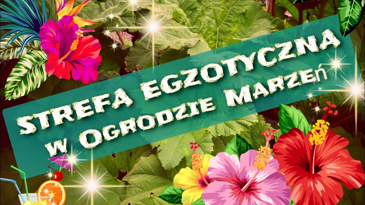 OGRÓD EGZOTYCZNY #4 ... strefa egzotyczna plus staw 💖🌴🌴🌴💖