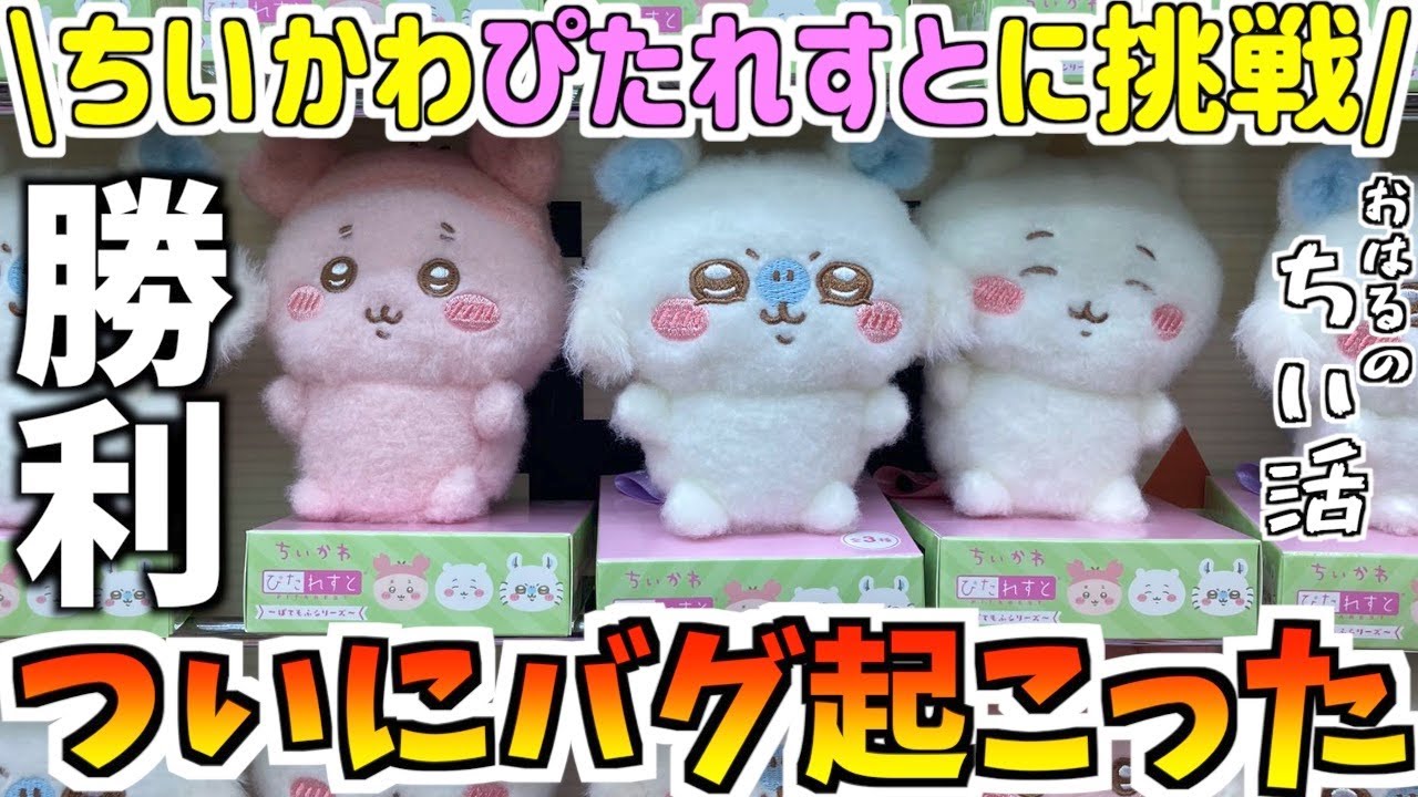 【ちいかわ】最新プライズぴたれすと全種狙ったらバグ起こった【ちいかわクレーンゲーム】【ちいかわUFOキャッチャー】【プライズ景品】【chiikawa】【おはるのちい活】【ちい活vlog】