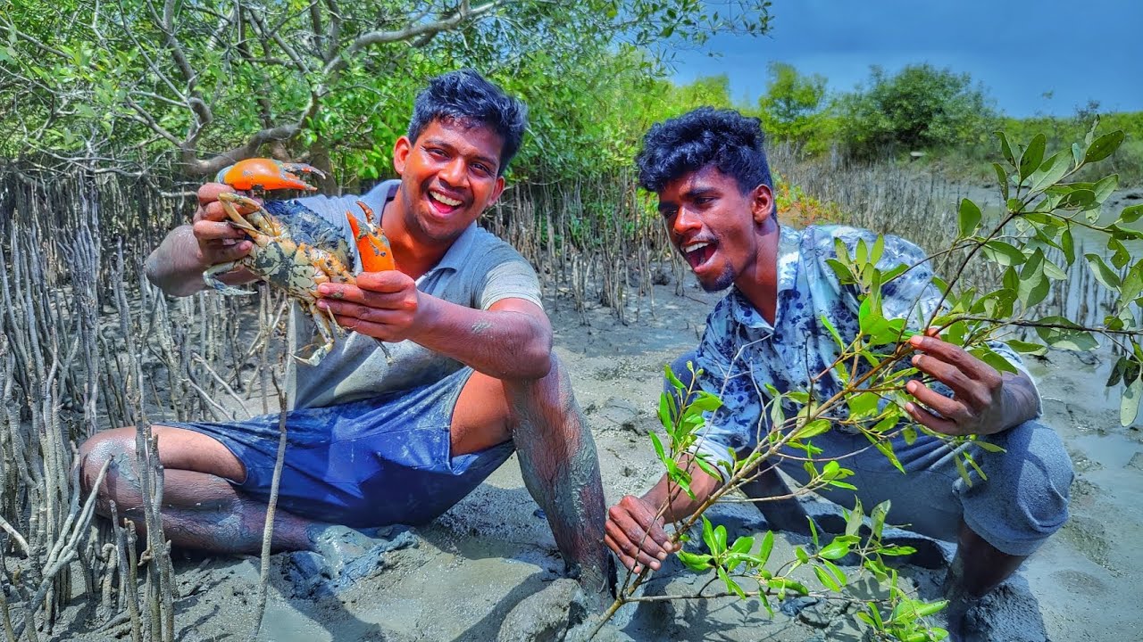 🦀சதுப்பு நிலக்காட்டில் சம்பா நண்டு வேட்டை |Mud Crab Hunting In Mangrove Forest @Venuadventures