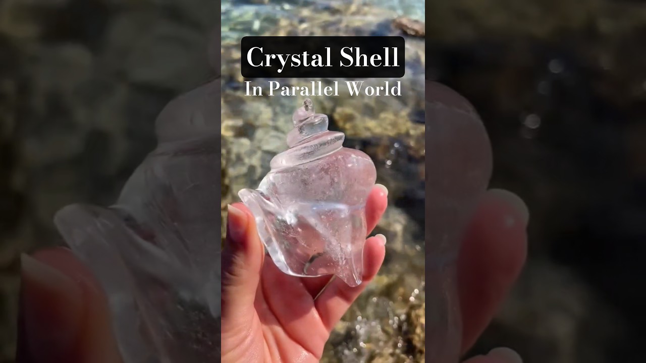 Crystal Quartz Shell | Somewhere in Parallel World #crystals #gemstone #quartz #shell