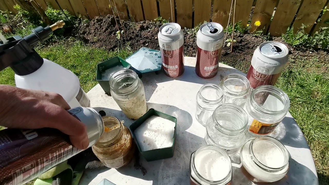 Slug (cheap ) Beer trap results , Success