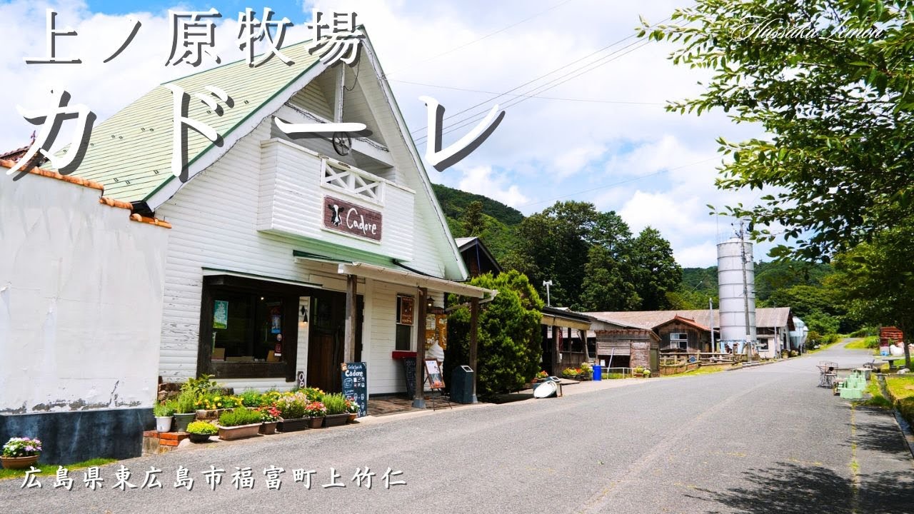 【広島 ランチ】　上ノ原牧場 カドーレ　広島県東広島市福富町上竹仁　おしゃれで美味しい　おすすめの広島グルメ　広島旅行　広島観光 Japanese café japanese ranch