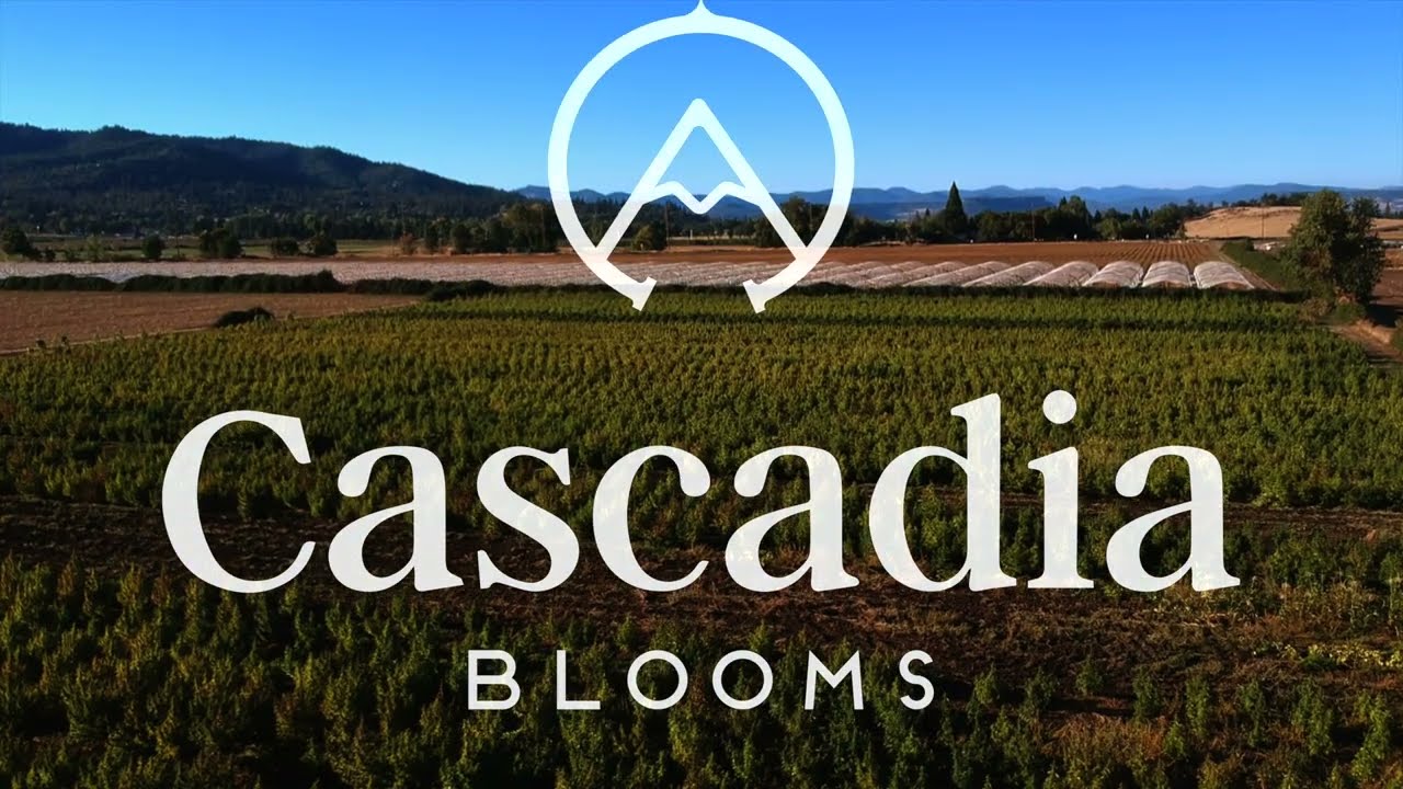 Cascadia Blooms Direct CBD Farm