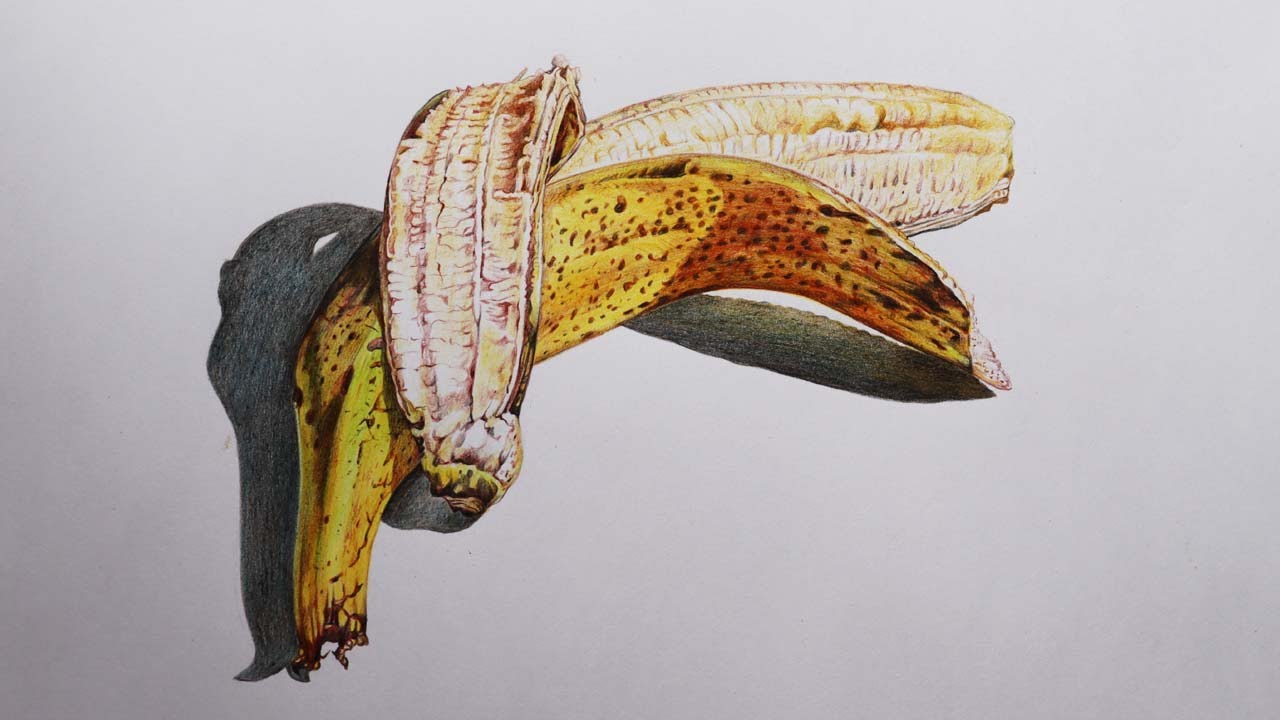 Banana Drawing in Color Pencils | Fruit Drawing | How to Draw a Banana