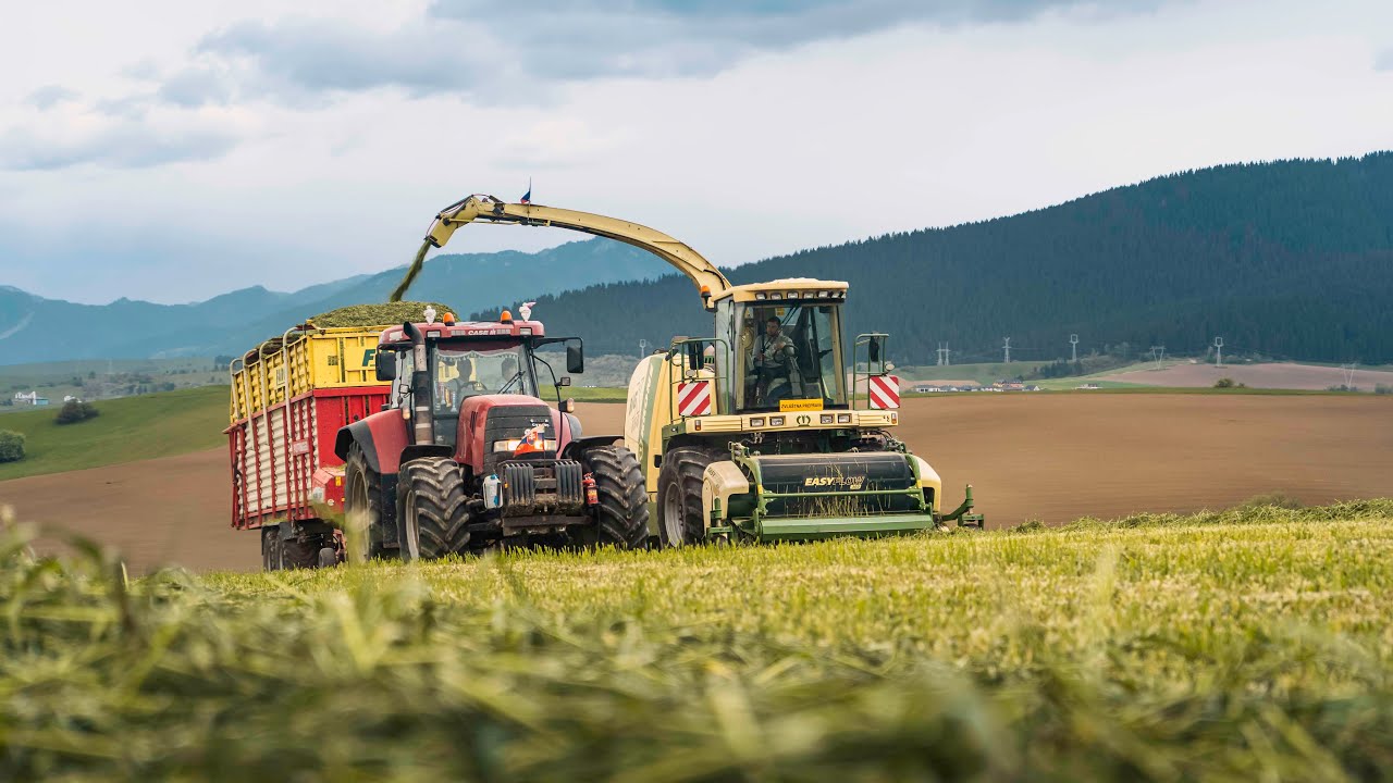 RYE SILAGE | SENÁŽ RAŽE | Krone BigX650, JCB Fastrac, CaseIH Magnum 340, CaseIH 195 CVX