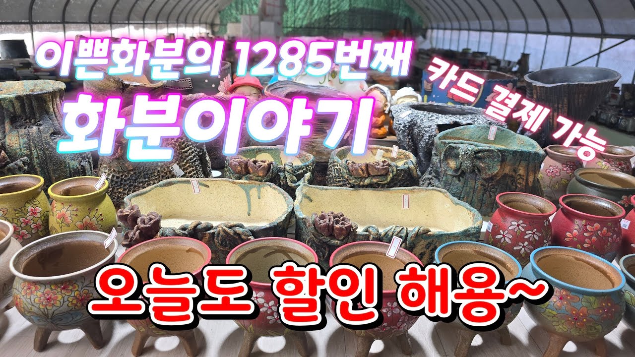2월 7일 #이쁜화분 1285번째 화분이야기 (오늘도 할인 해용~)