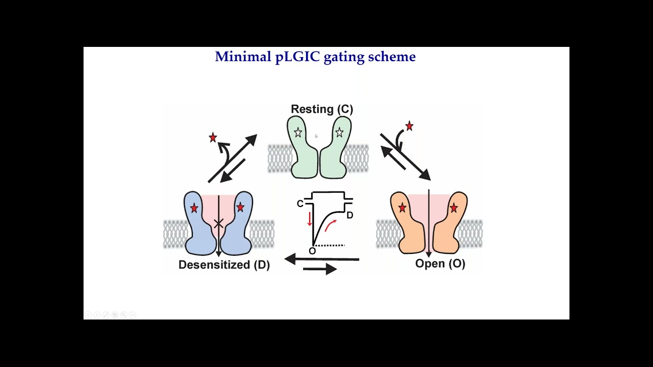 Cryo-EM reveals mechanisms of gating and drug modulation in 5-HT3A receptors