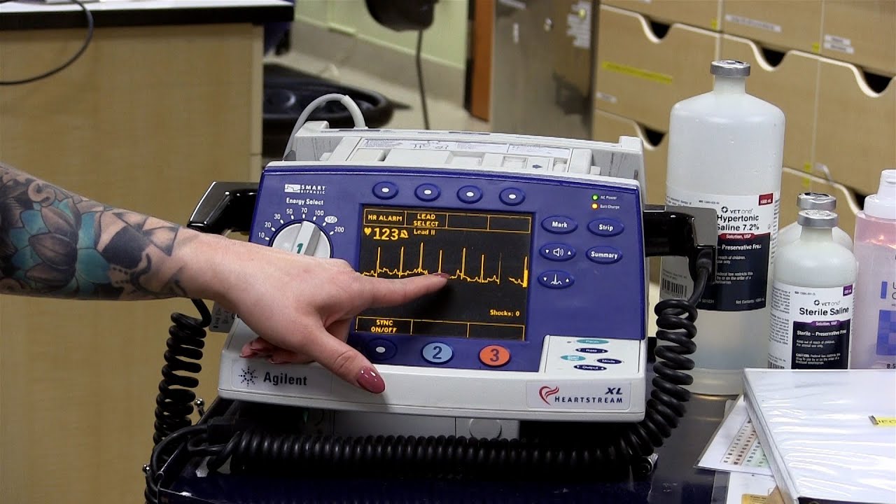 Applying and Troubleshooting ECG Leads