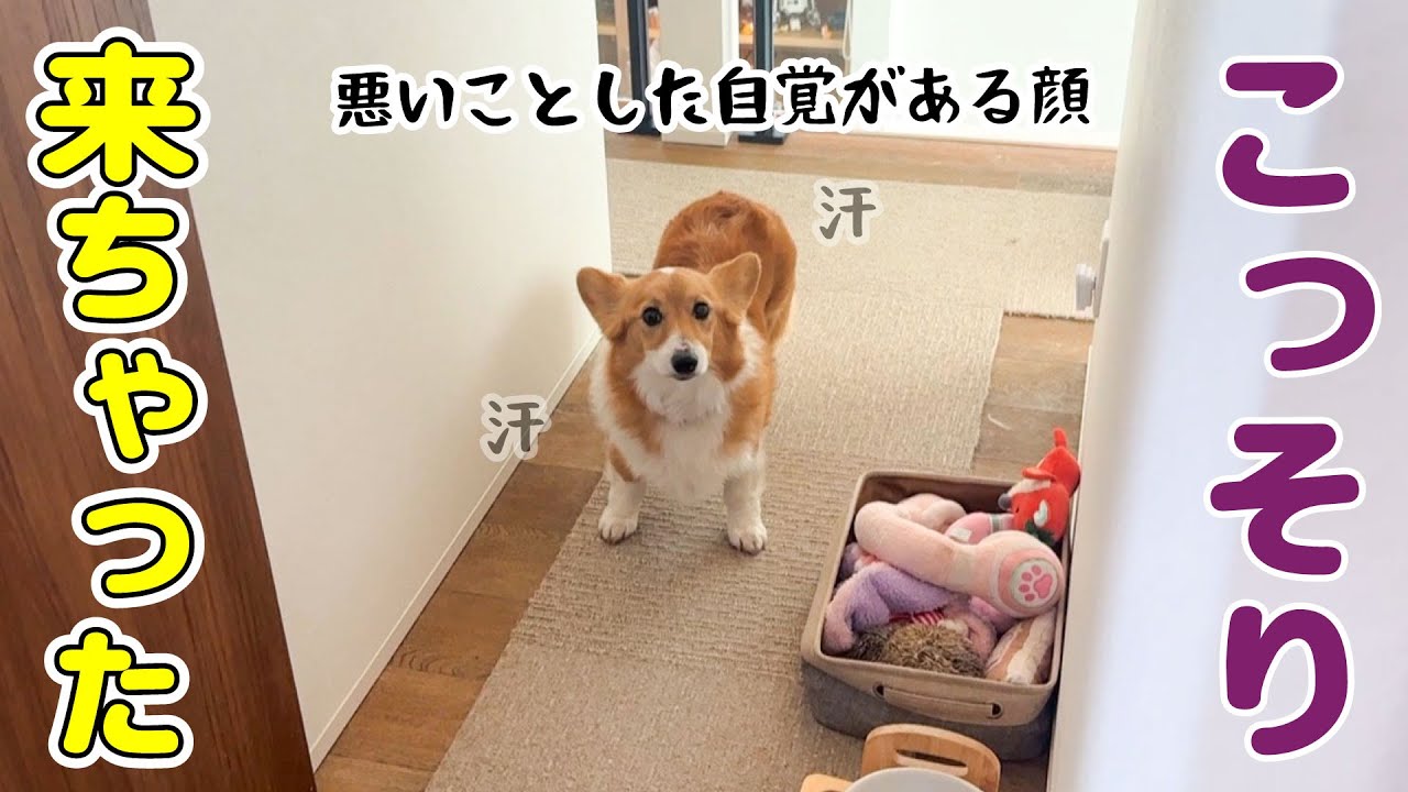 ついに禁止されている２階に侵入してしまいました