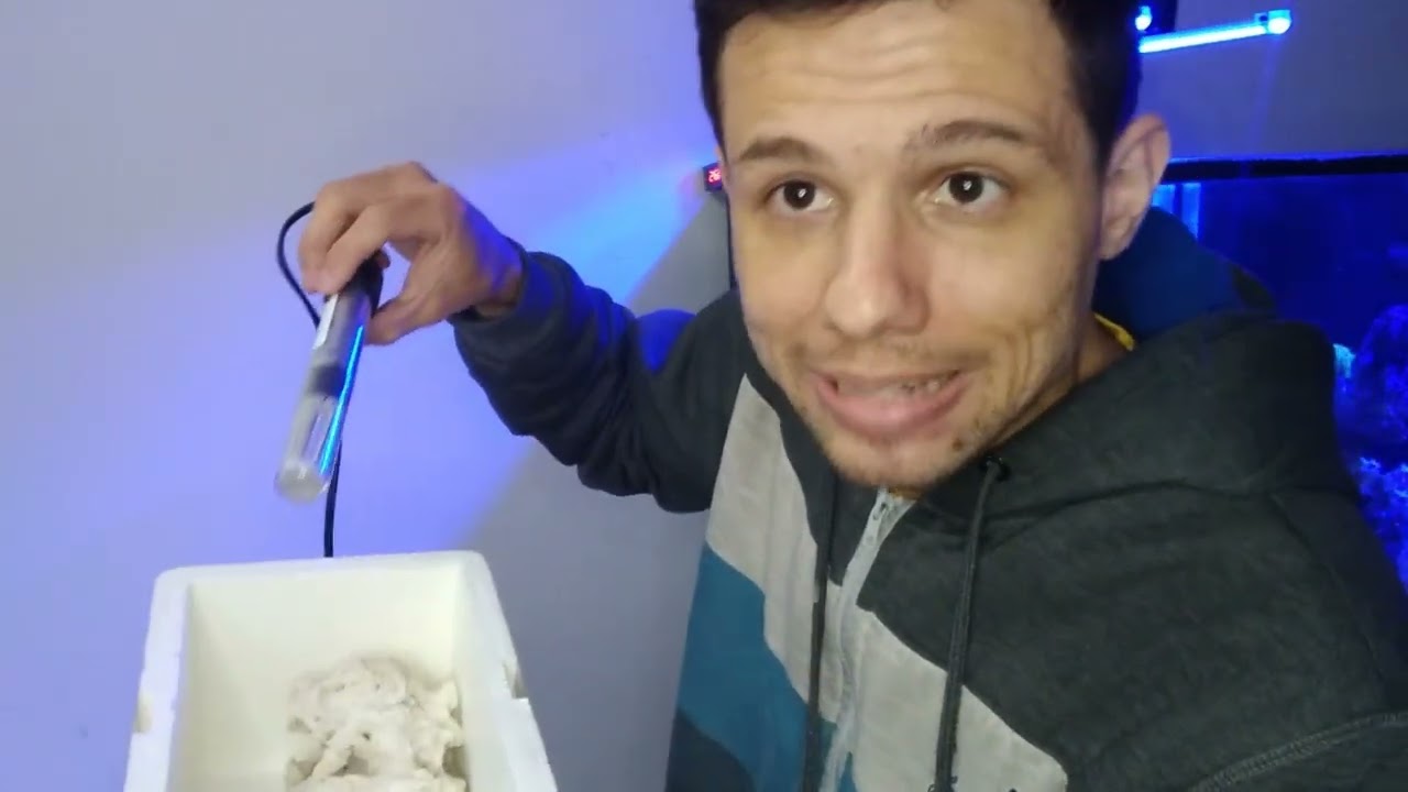 COMO TRATAR PEIXE COM ICTIO NO AQUÁRIO MARINHO