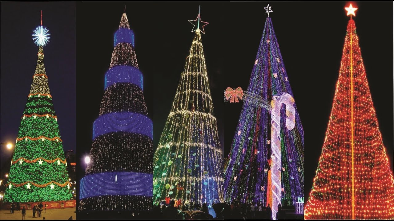 Los Arboles de Navidad mas grandes y altos de Centroamérica