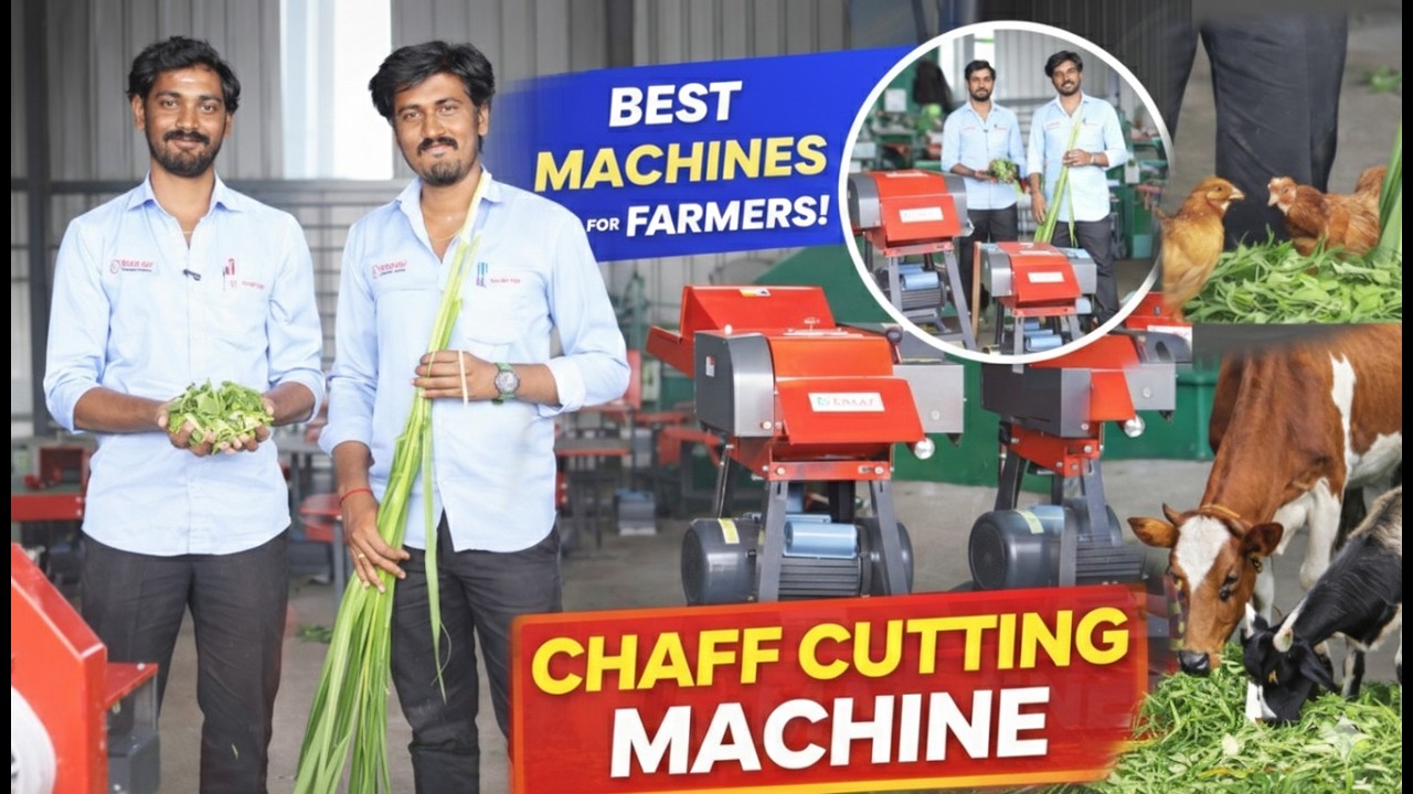 ஆடு, மாடு, கோழிகளுக்கான சிறந்த தீவனம் வெட்டும் இயந்திரங்கள்