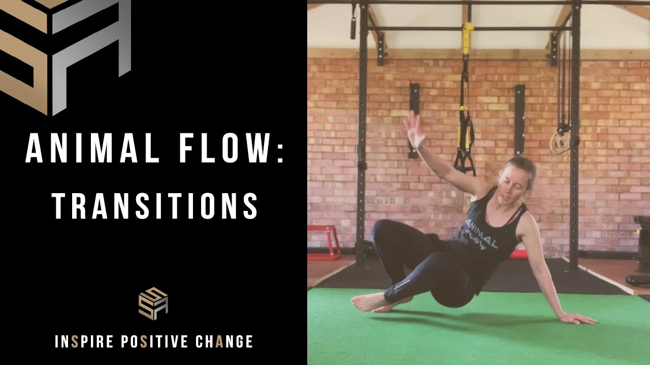Animal Flow Demo: Transitions