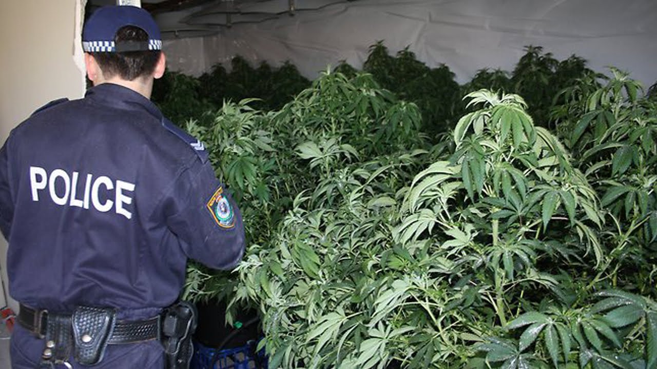 10 Biggest Drug Seizes Of All Time