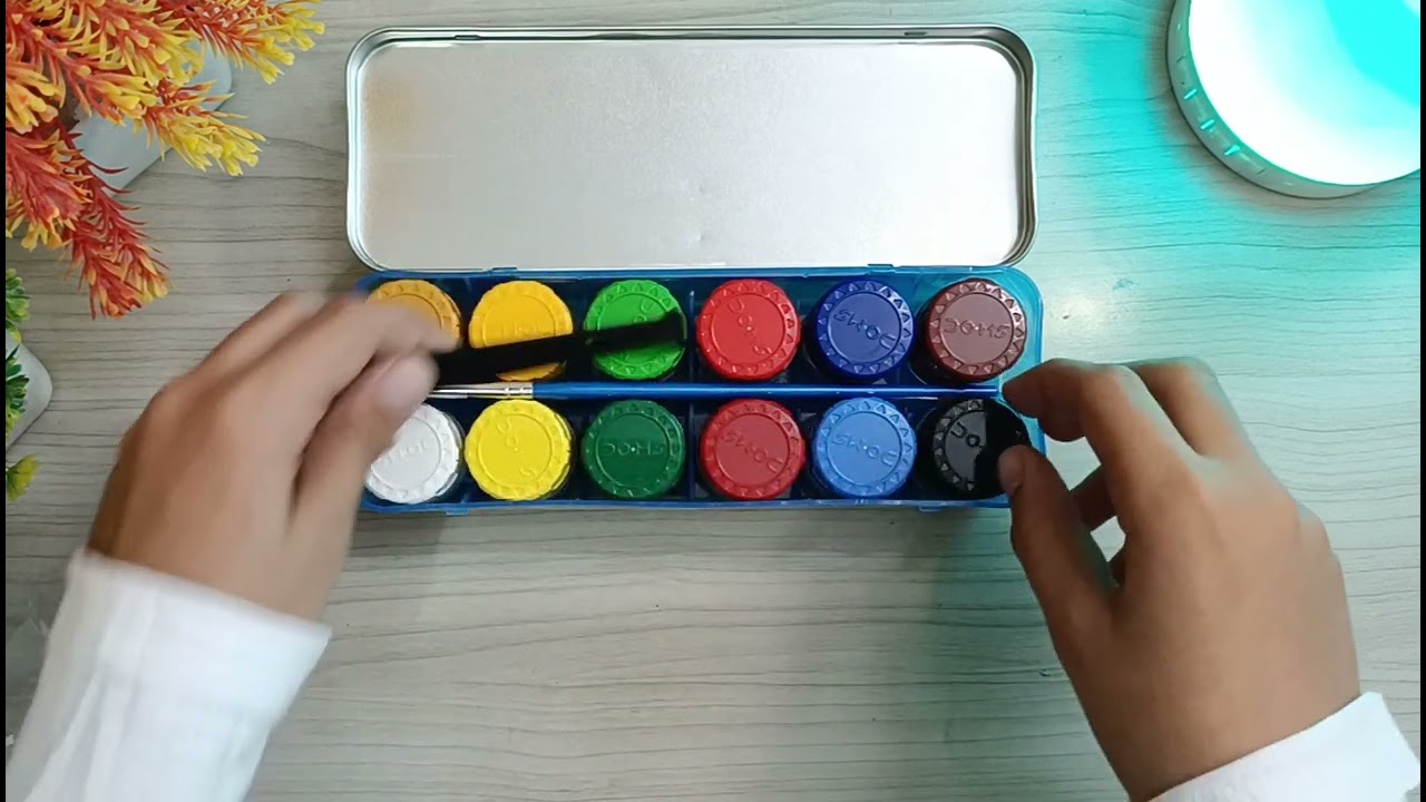 Doms Poster Colour 12 Shades Unboxing