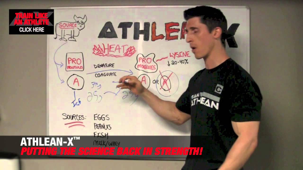 Protein Myth BUSTED!! (Cooked Protein and Shakes)
