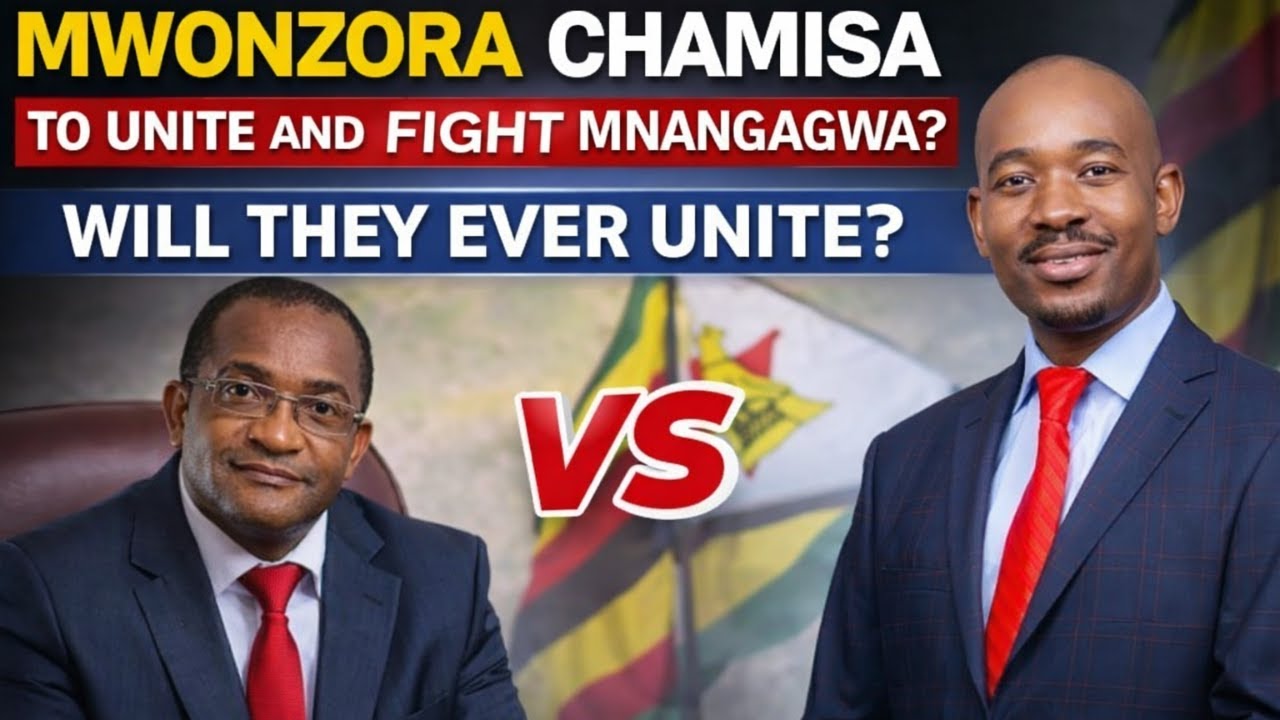 MWONZORA - CHAMISA TO UNITE AGAINST MNANGAGWA, WILL THEY EVER WORK TOGETHER AGAIN?