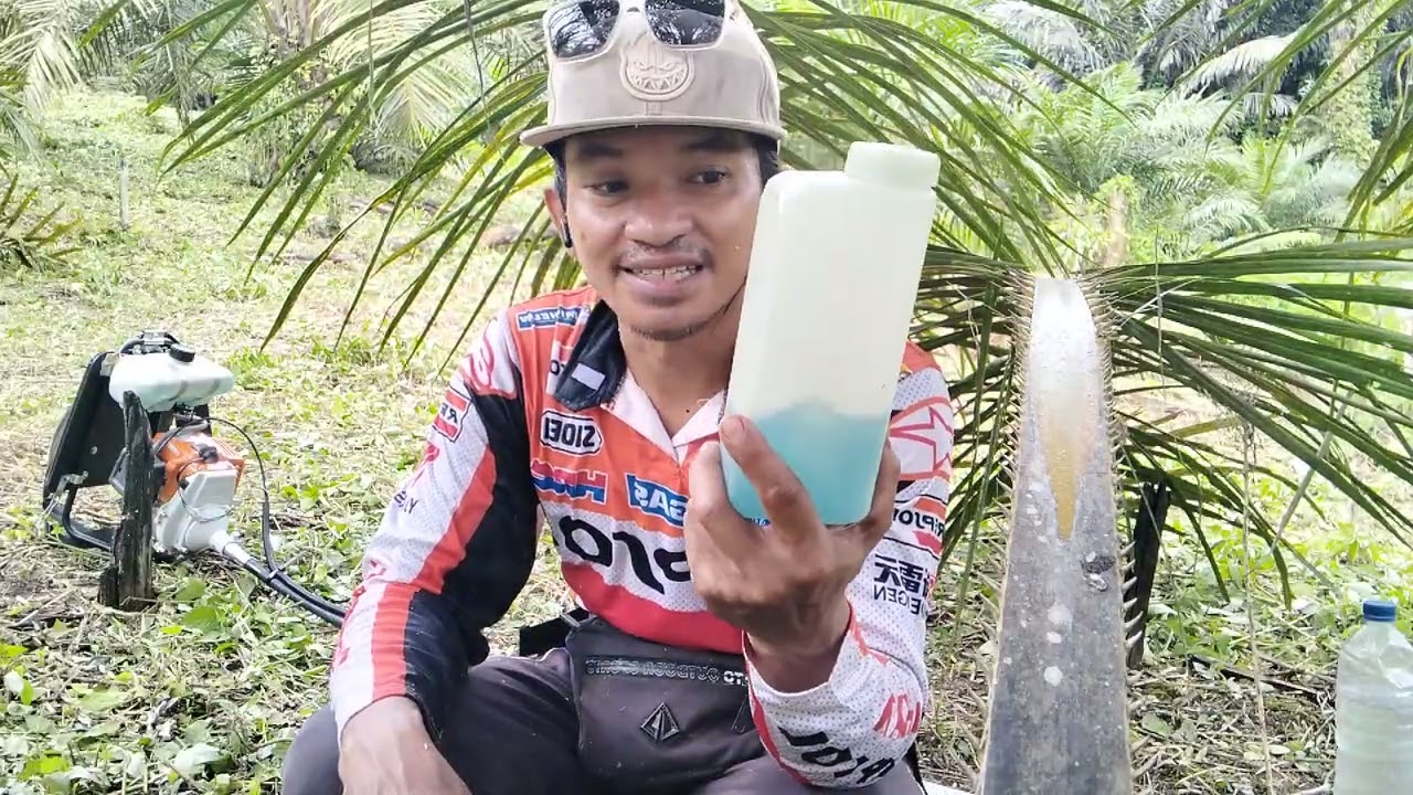 Riview Singkat Mesin Potong Rumput STIHL FR3001 