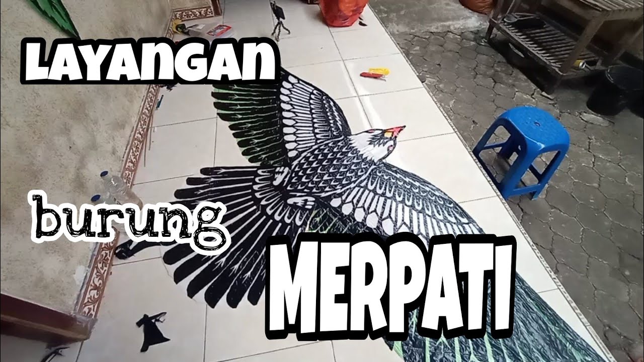 layangan burung MERPATI!!