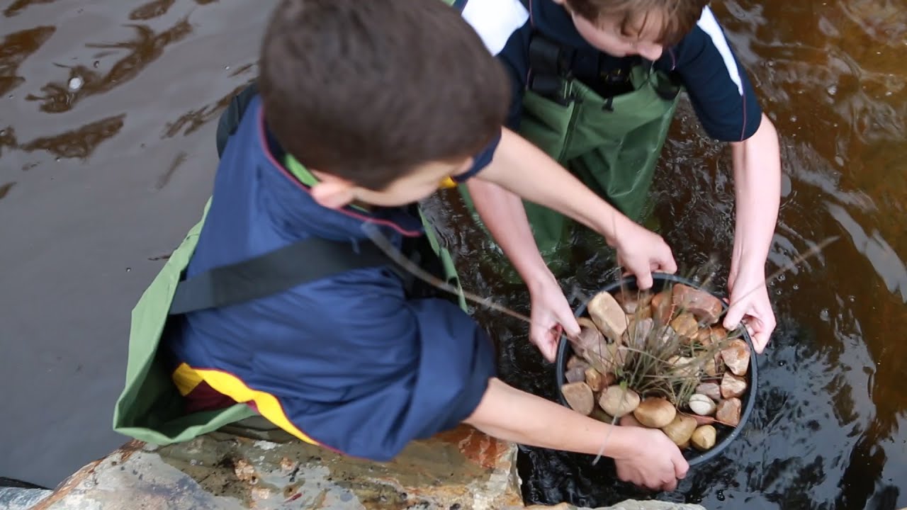 Education for Sustainability: St Michael's College Beverley