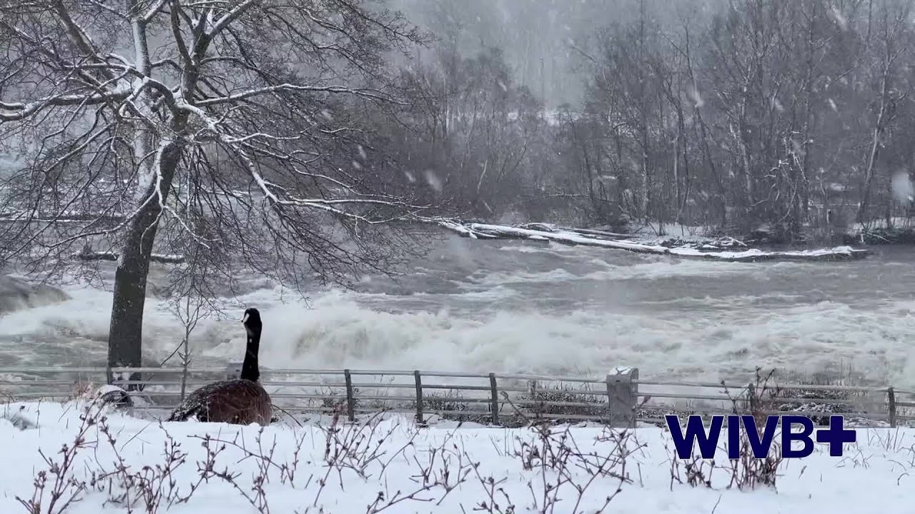 Buffalo Brief: Code Blue Ride Along