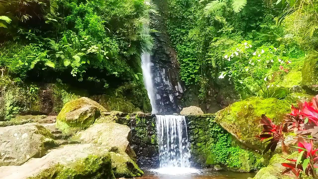 THE COOLNESS BENEATH WATERFALL #ASMR#RELAXINGSOUNDS#NATURALTHRERAPY#WATERSOUNDS
