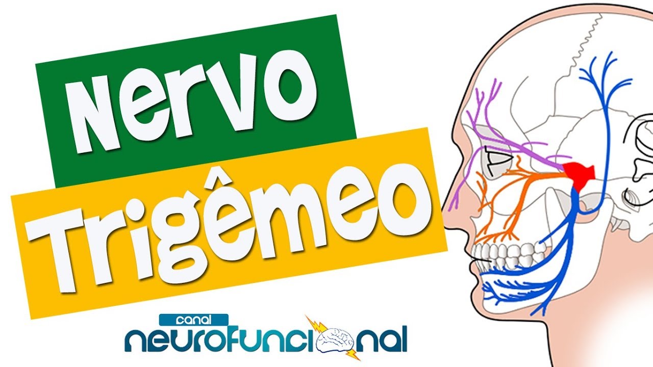 NERVO TRIGÊMEO - Anatomia, Trajeto, Funções e Avaliação (Vídeo Aula)