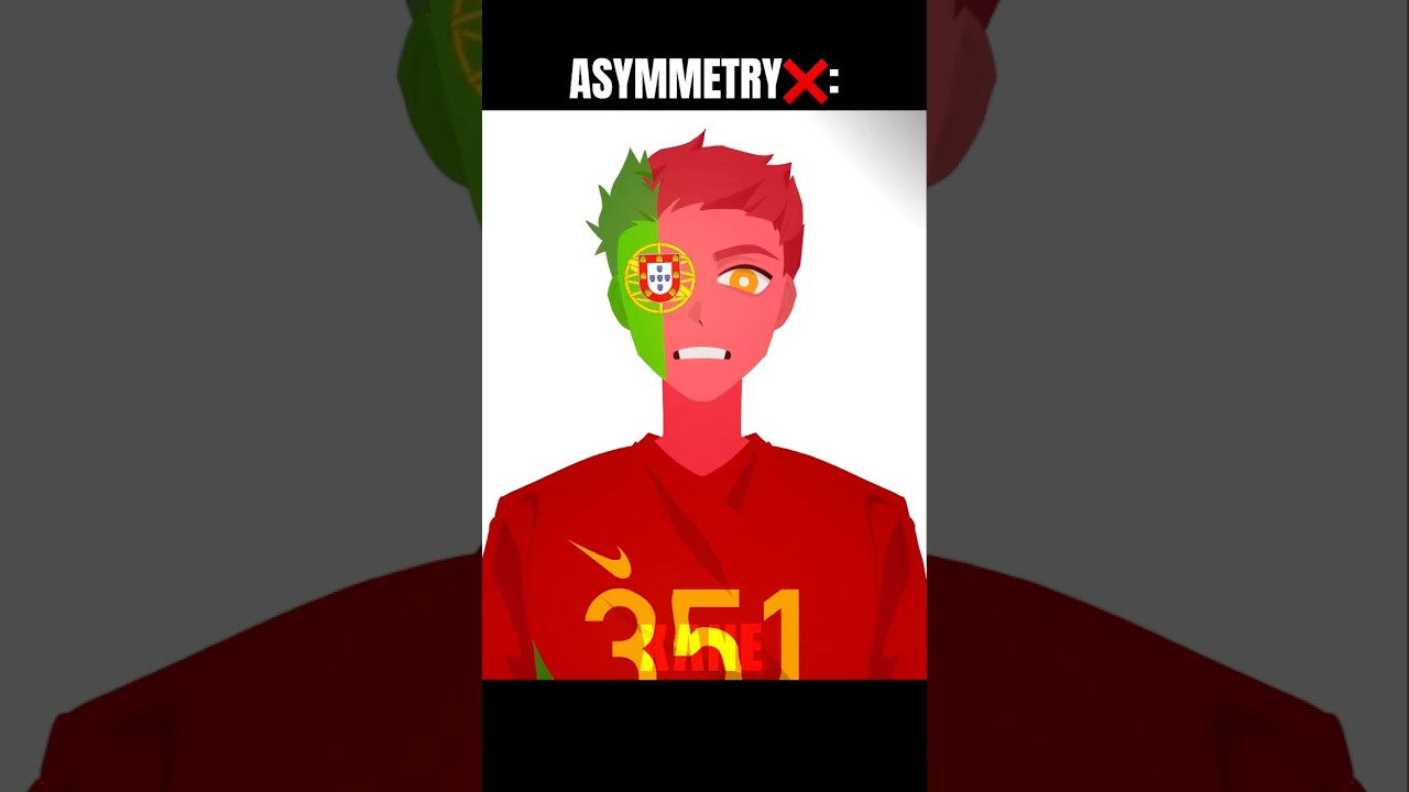 SYMMETRY & ASYMMETRY FLAGS🎭 #countryhumans #xane