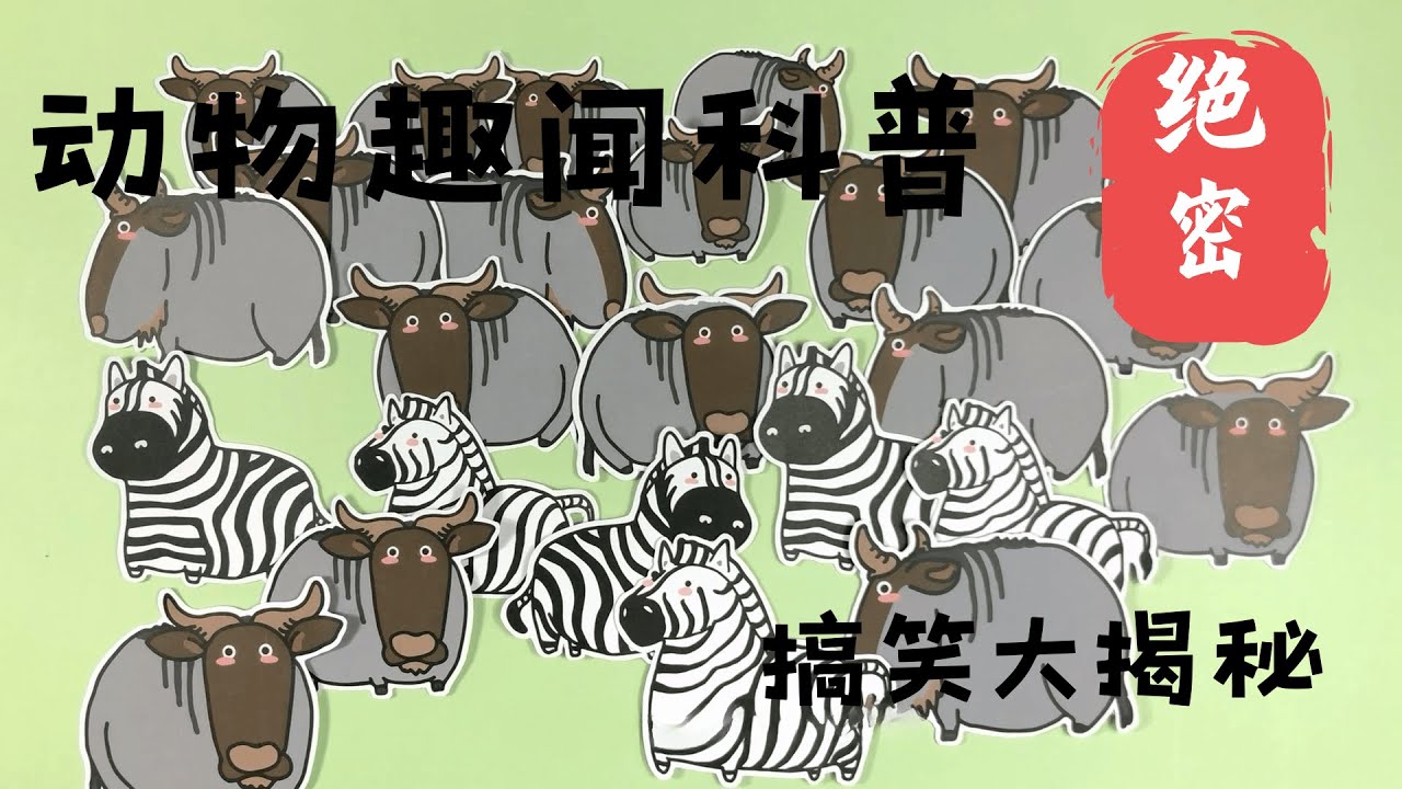 角马过河有多壮观？百万大军