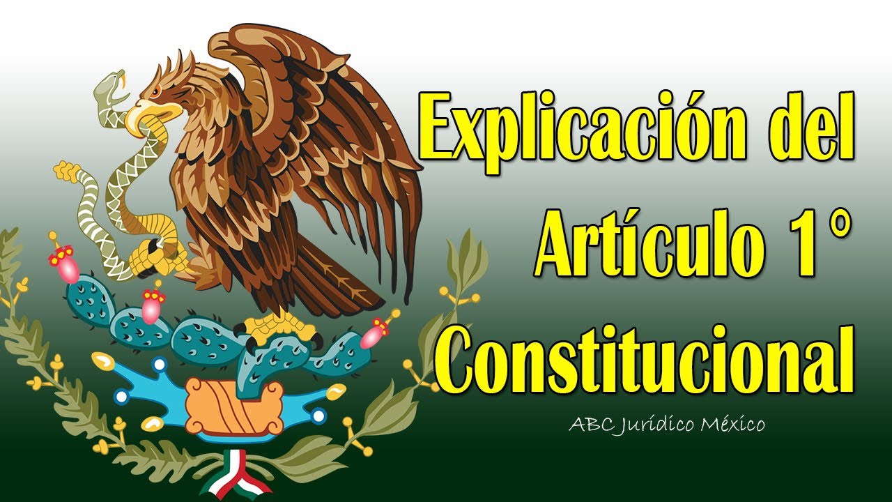 IMPORTANTE:  🇲🇽 EL ART&Iacute;CULO QUE TODO MEXICANO DEBE CONOCER ART 1 CONSTITUCIONAL