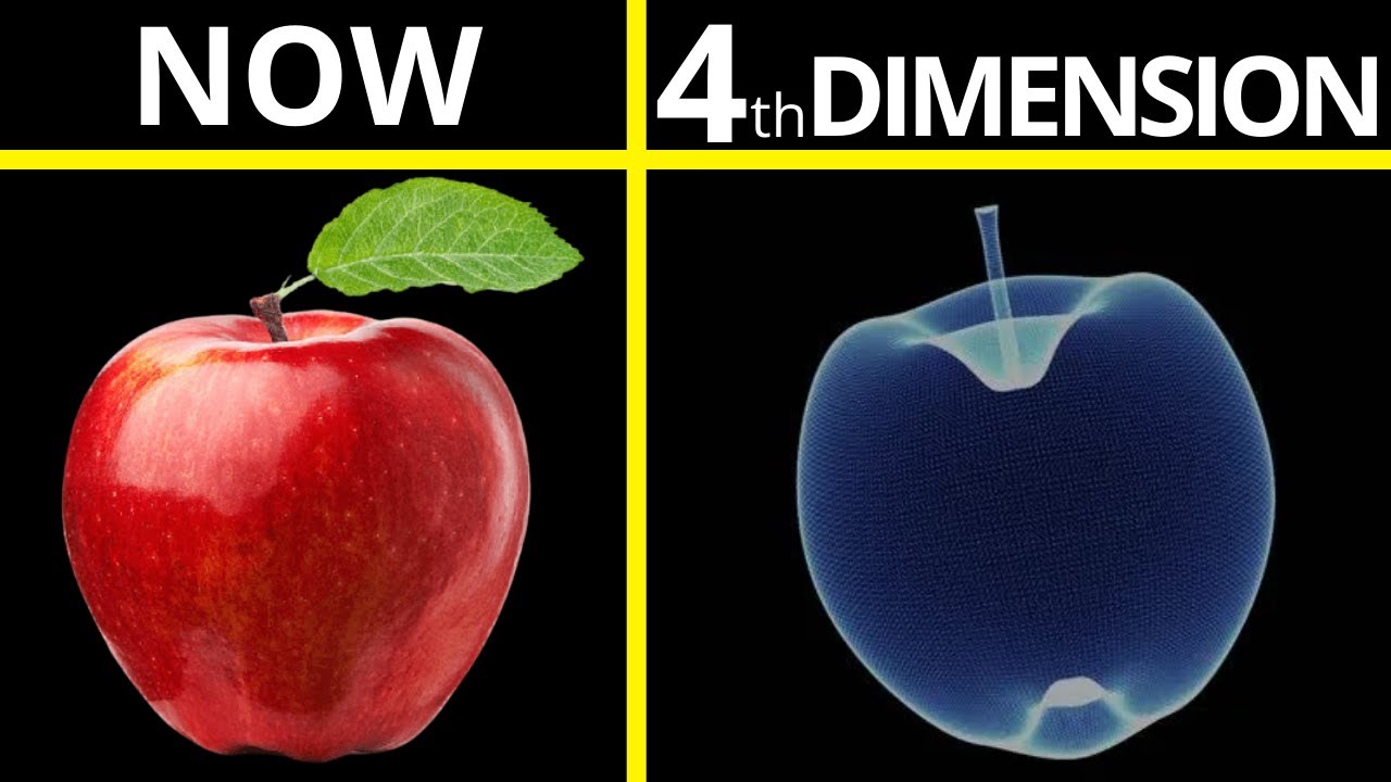 What you'll look like in 4th Dimension ?