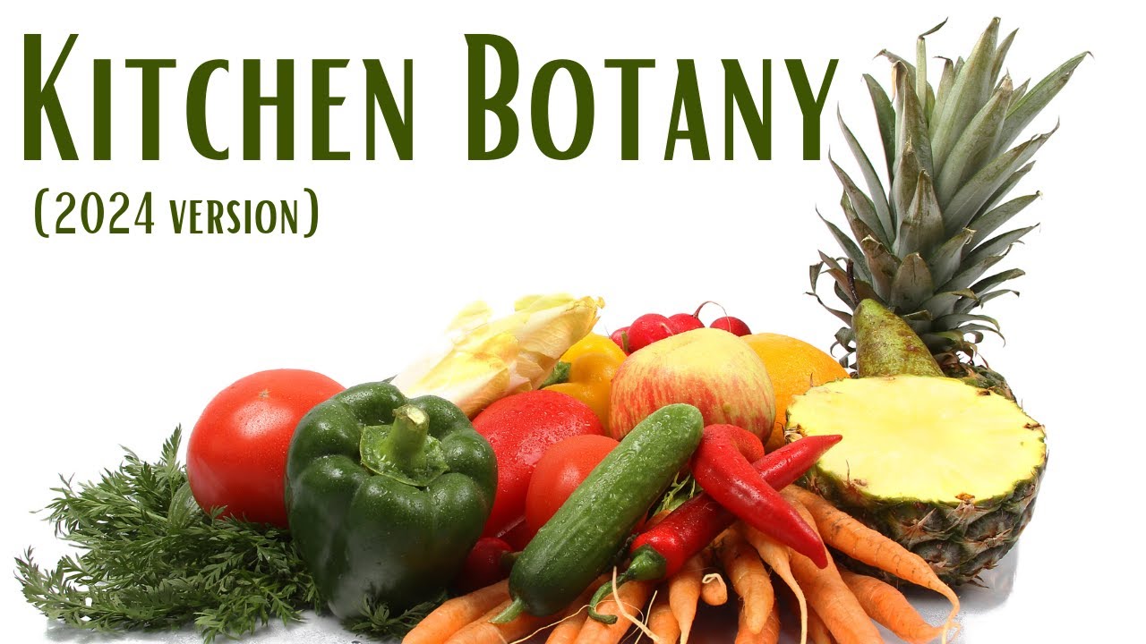 Kitchen Botany (2024 Version)