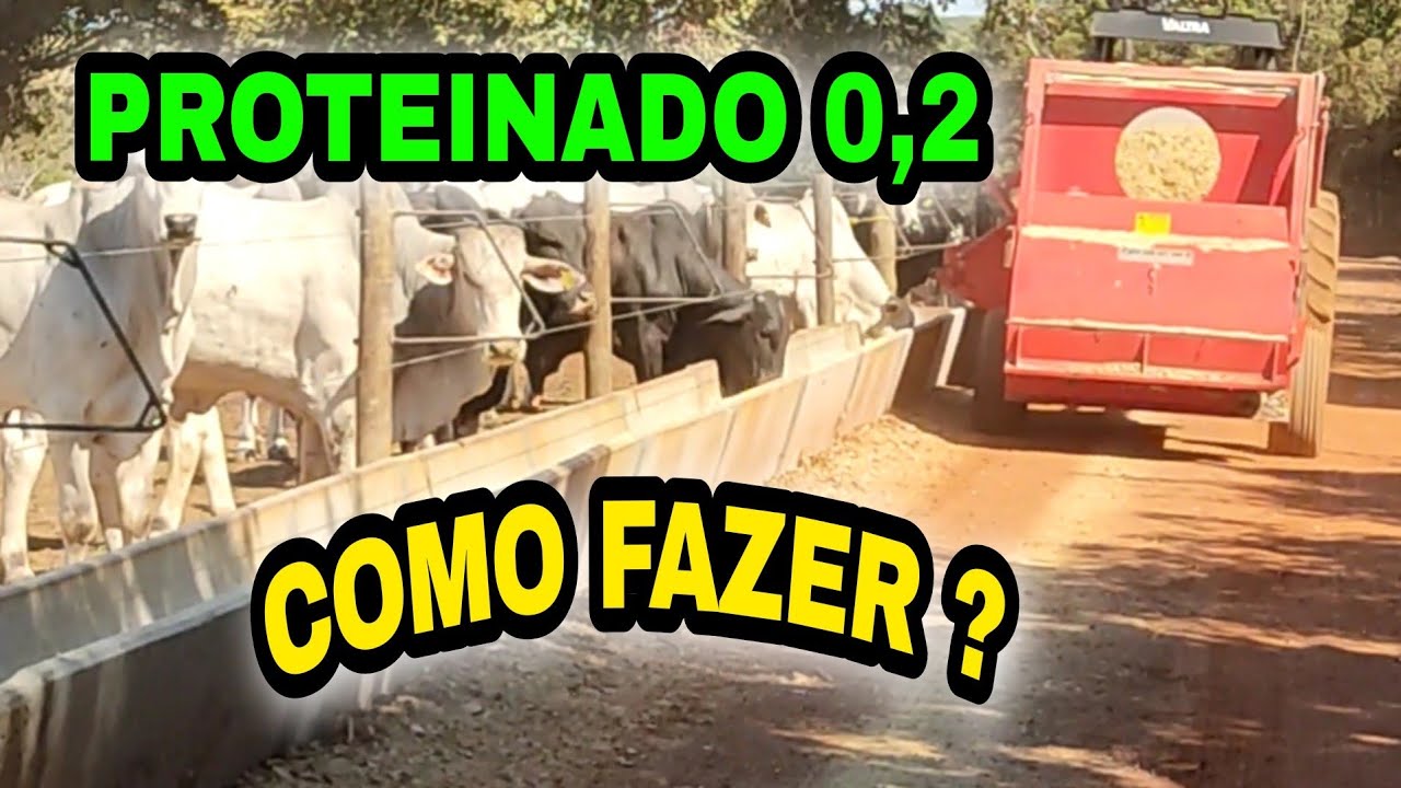 COMO FAZER PROTEINADO 0,2 ? MEDIO CONSUMO