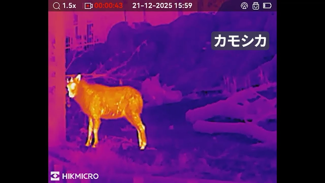 野生動物調査業務向け サーマルスコープ実写｜LYNX LE10S（アオサギ / アナグマ / ムササビ / カモシカ）