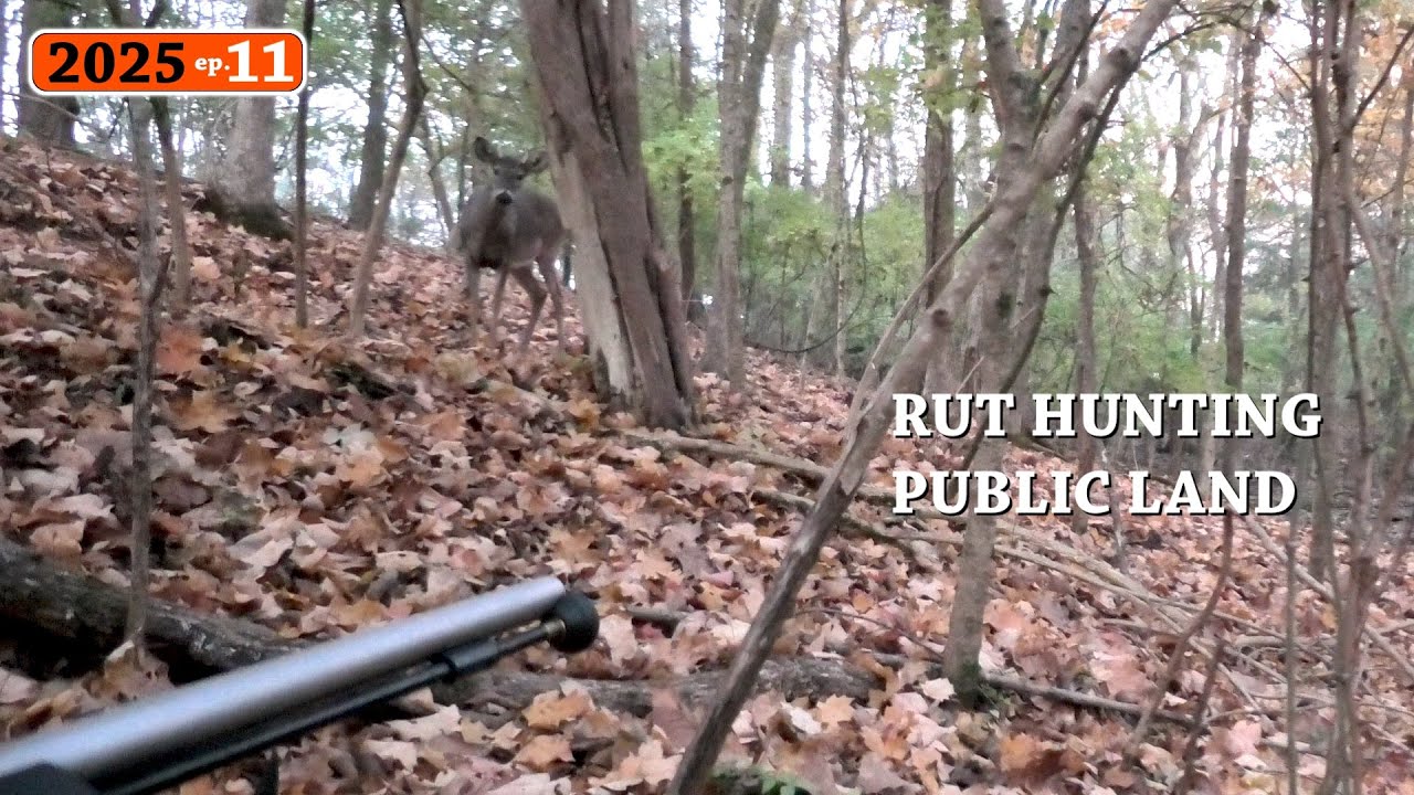 CLOSE RANGE Muzzleloader Hunting From the Ground