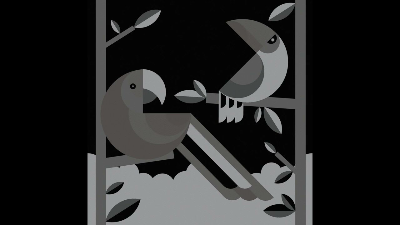 Toucan Play That Game (Original music project)
