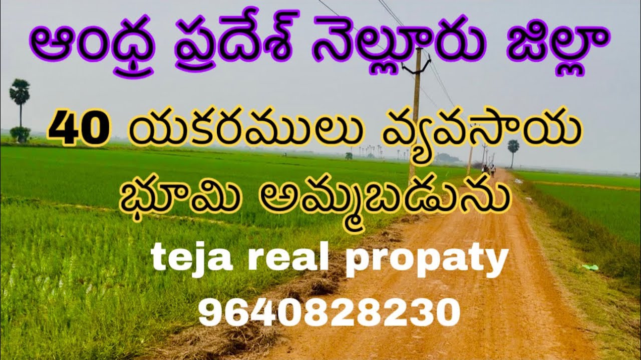 40 యకరములు వ్యవసాయ భూమి అమ్మబడును 9652606027