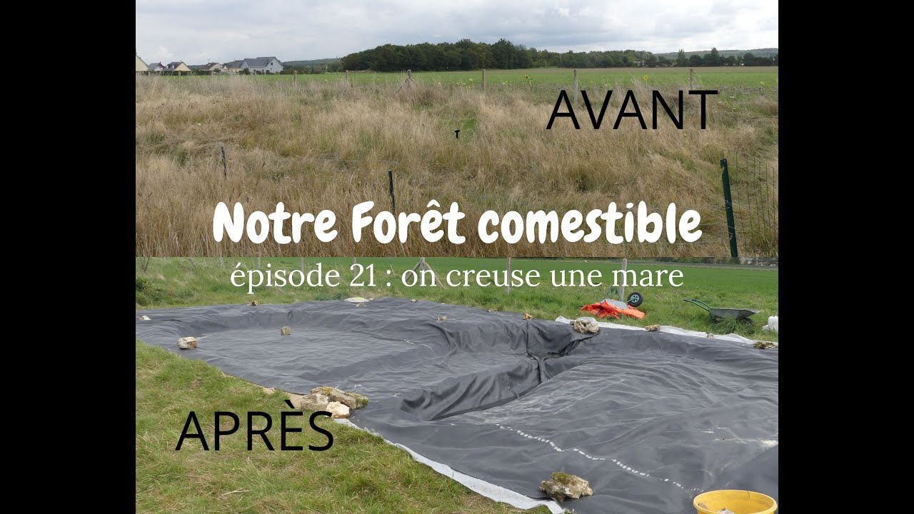 Notre Forêt comestible // épisode 21 : on creuse une mare